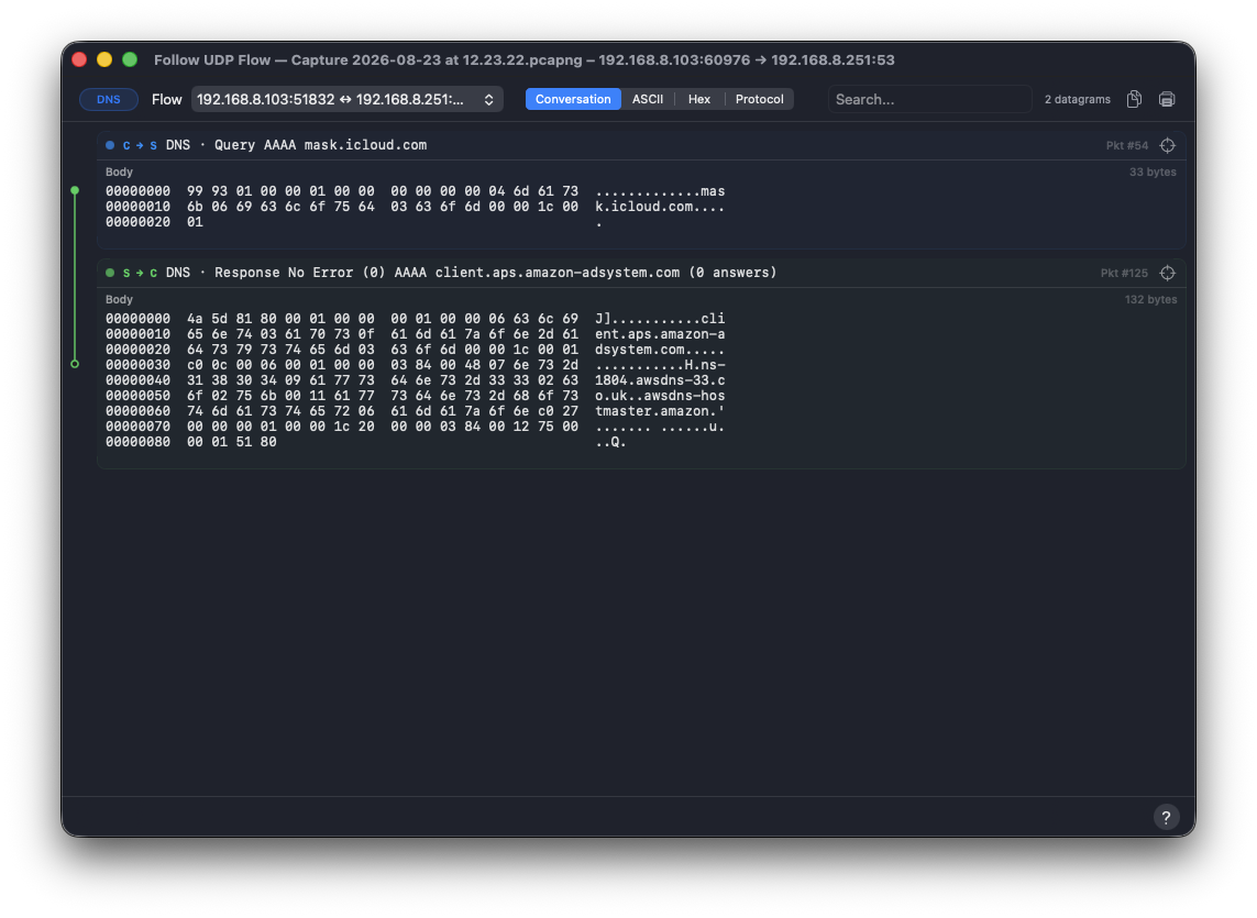 Follow UDP Flow window listing datagrams with request and reply pairing